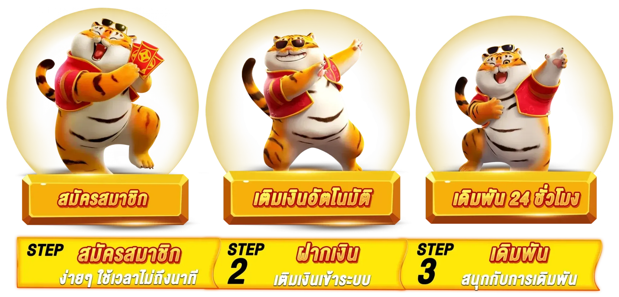 สมัคร perfect248